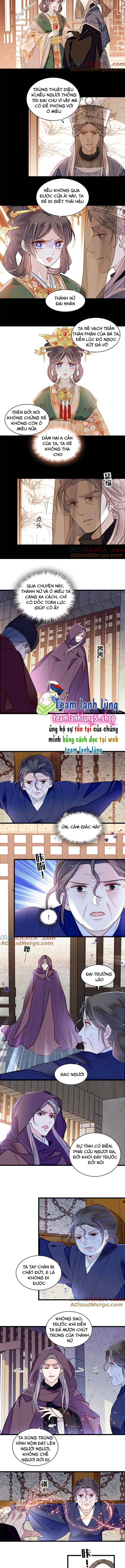 Tự Cẩm Chapter 378 - Trang 4