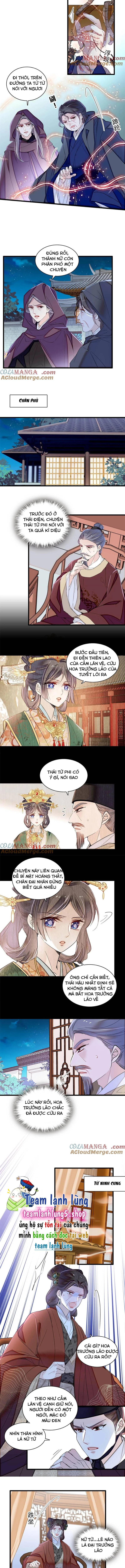 Tự Cẩm Chapter 378 - Trang 4
