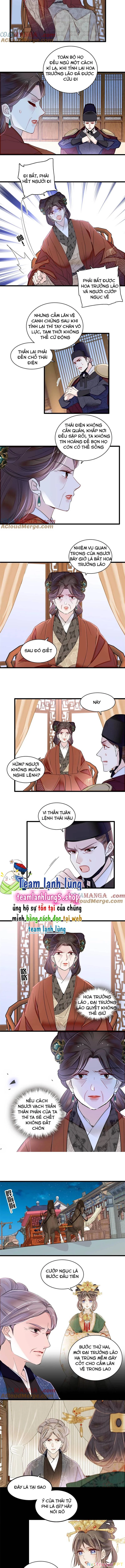 Tự Cẩm Chapter 378 - Trang 4
