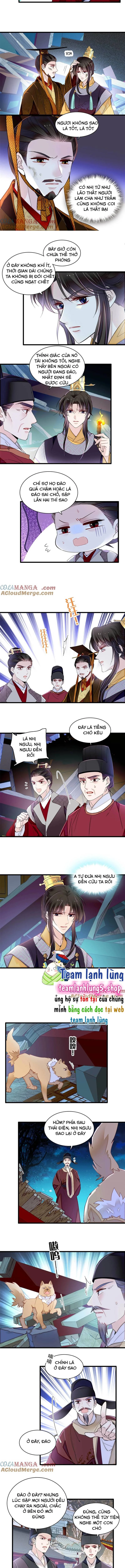 Tự Cẩm Chapter 379 - Next Chapter 380