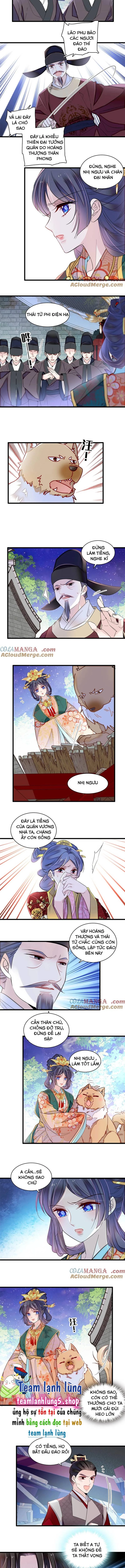 Tự Cẩm Chapter 379 - Next Chapter 380
