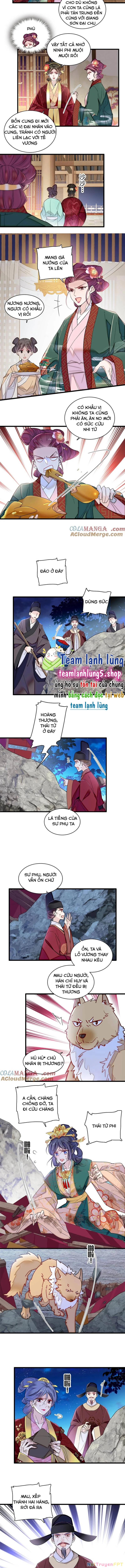 Tự Cẩm Chapter 381 - Trang 4
