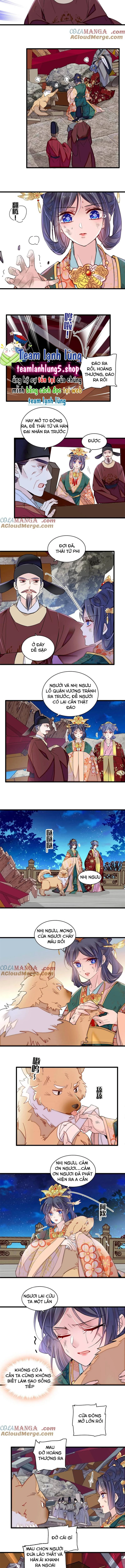 Tự Cẩm Chapter 381 - Trang 4