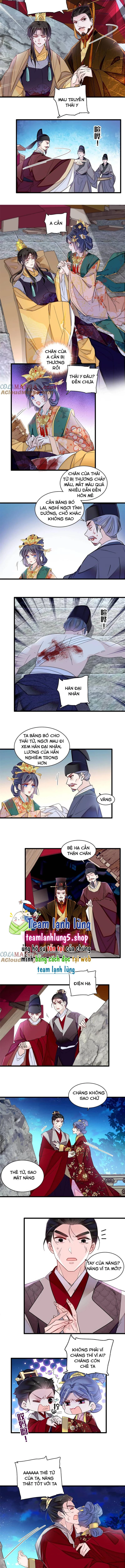 Tự Cẩm Chapter 381 - Trang 4