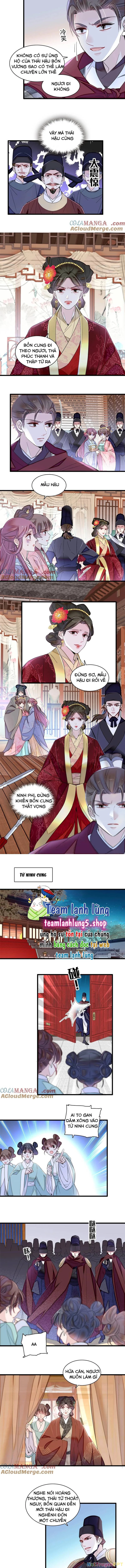 Tự Cẩm Chapter 382 - Trang 4