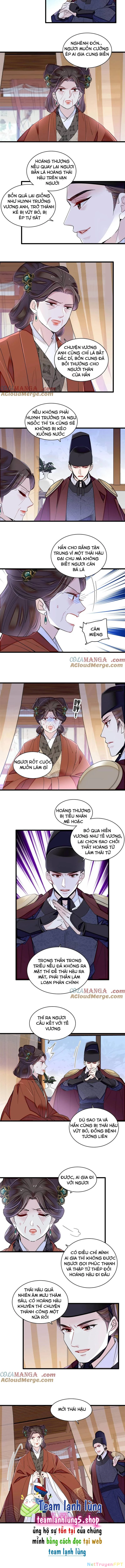 Tự Cẩm Chapter 382 - Trang 4