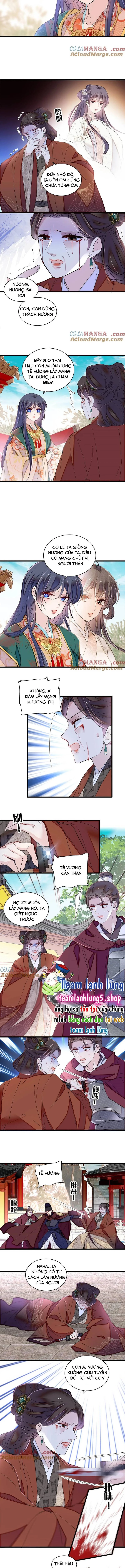 Tự Cẩm Chapter 383 - Trang 4