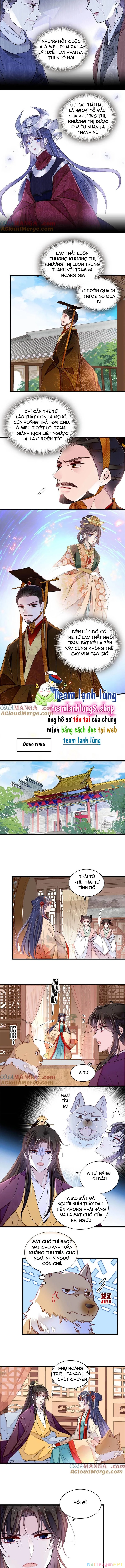 Tự Cẩm Chapter 385 - Trang 4