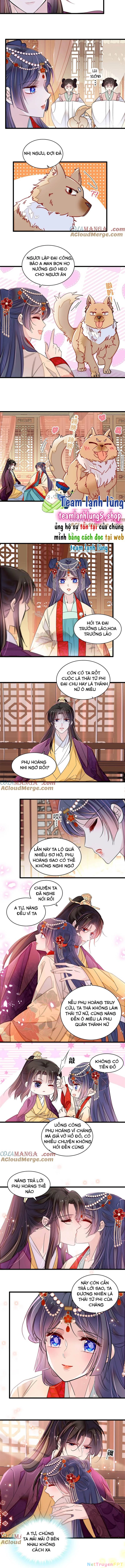 Tự Cẩm Chapter 385 - Trang 4