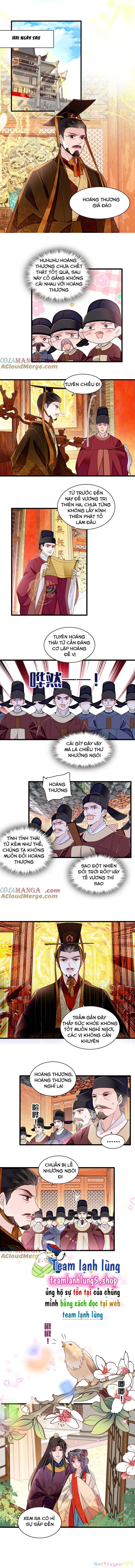 Tự Cẩm Chapter 385 - Trang 4