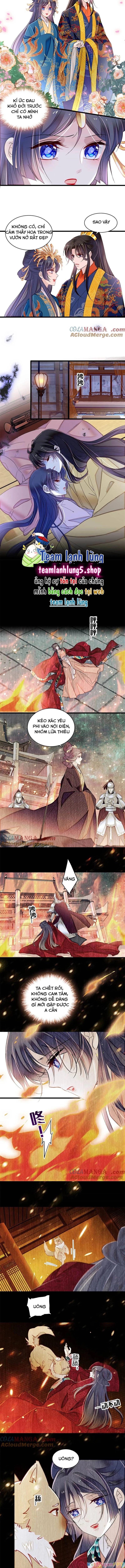 Tự Cẩm Chapter 387 - Next Chapter 388