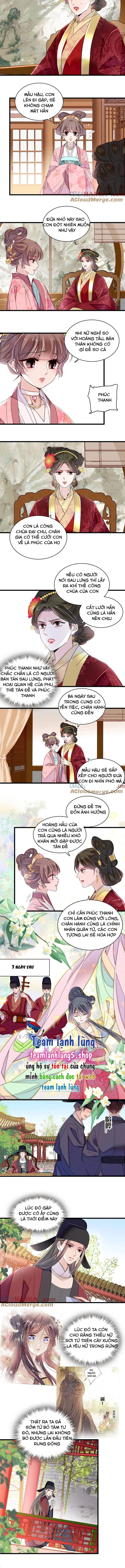 Tự Cẩm Chapter 389 - Trang 4