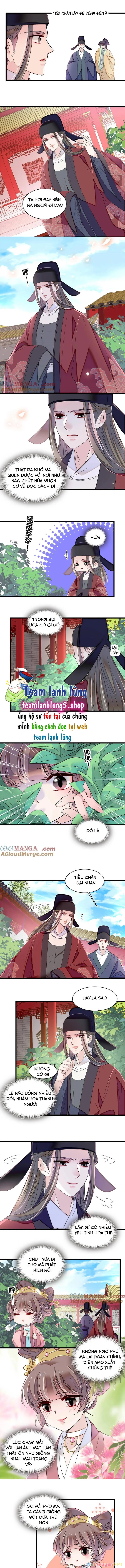 Tự Cẩm Chapter 389 - Trang 4
