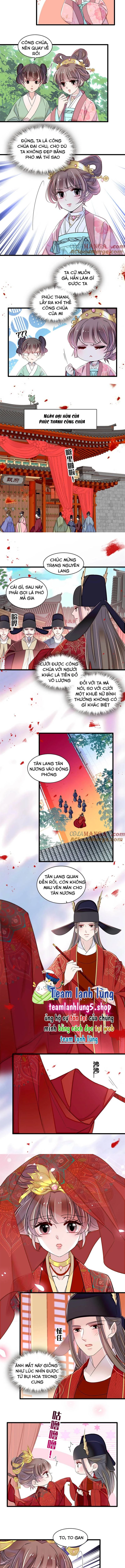 Tự Cẩm Chapter 389 - Trang 4
