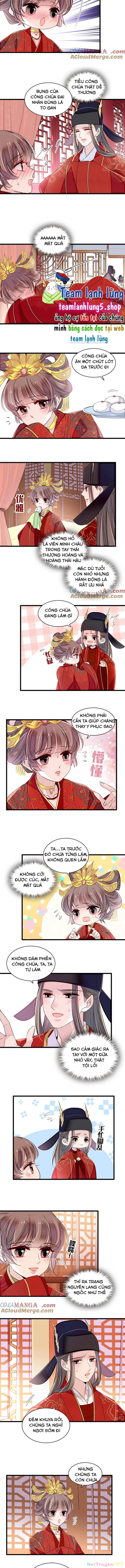 Tự Cẩm Chapter 389 - Trang 4