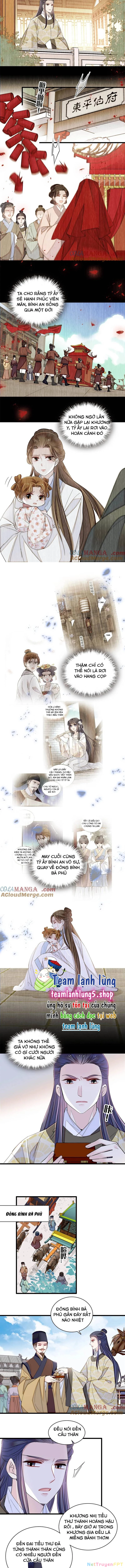 Tự Cẩm Chapter 391 - Trang 4