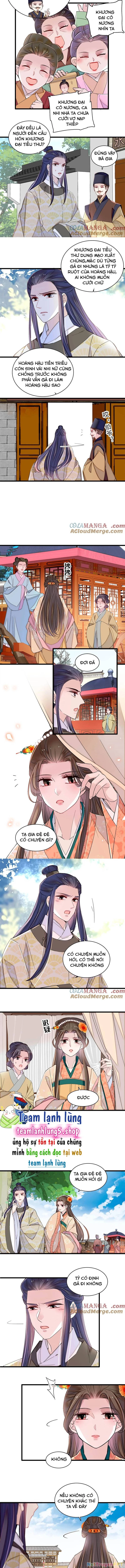 Tự Cẩm Chapter 391 - Trang 4