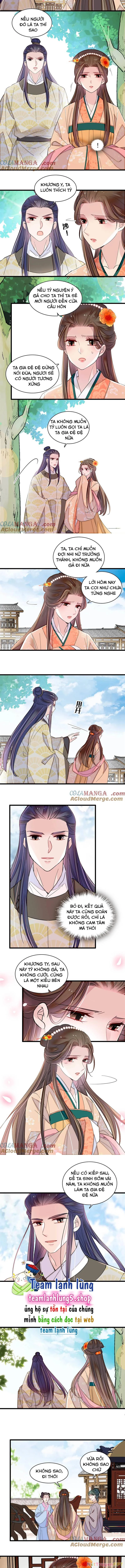 Tự Cẩm Chapter 391 - Trang 4