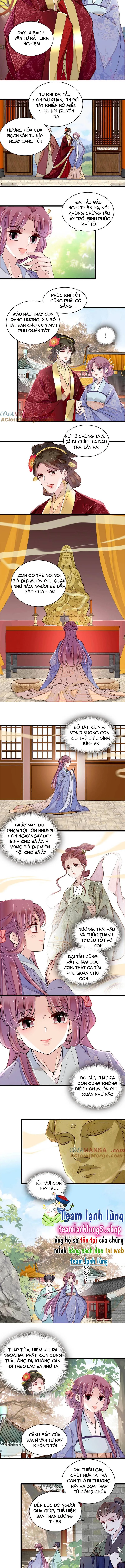 Tự Cẩm Chapter 393 - Trang 4