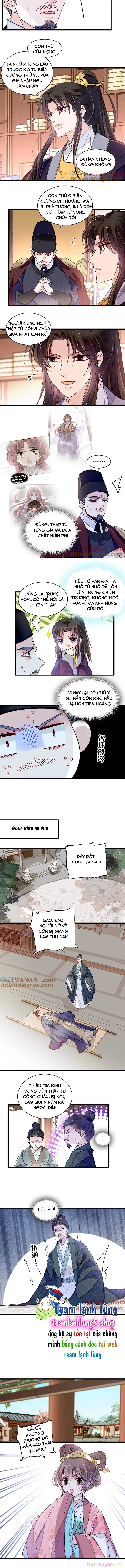 Tự Cẩm Chapter 394 - Trang 4