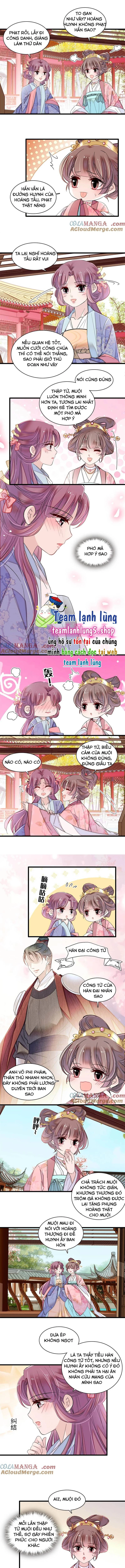 Tự Cẩm Chapter 394 - Trang 4