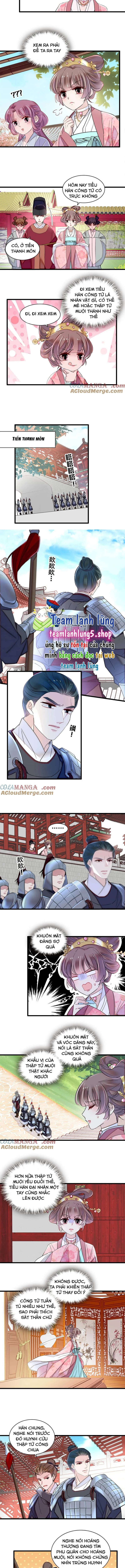 Tự Cẩm Chapter 394 - Trang 4