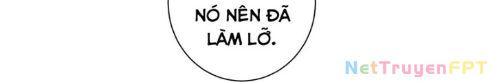 Ta Có Thể Thấy Tỉ Lệ Thành Công Chapter 211 - Trang 4