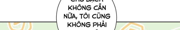 Ta Có Thể Thấy Tỉ Lệ Thành Công Chapter 211 - Trang 4