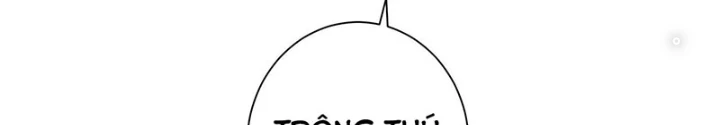 Ta Có Thể Thấy Tỉ Lệ Thành Công Chapter 211 - Trang 4