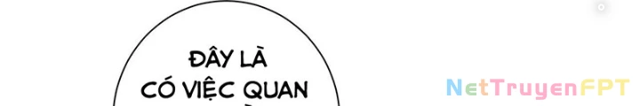 Ta Có Thể Thấy Tỉ Lệ Thành Công Chapter 217 - Trang 4