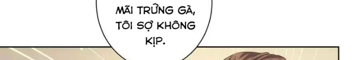 Ta Có Thể Thấy Tỉ Lệ Thành Công Chapter 229 - Trang 3