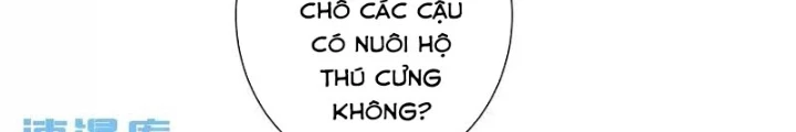 Ta Có Thể Thấy Tỉ Lệ Thành Công Chapter 229 - Trang 3