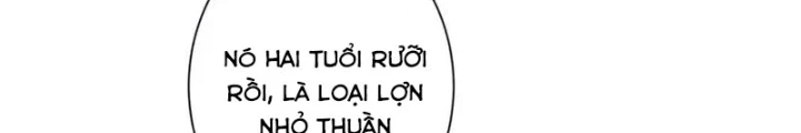 Ta Có Thể Thấy Tỉ Lệ Thành Công Chapter 229 - Trang 3
