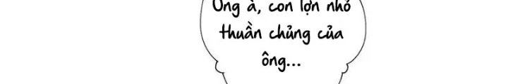 Ta Có Thể Thấy Tỉ Lệ Thành Công Chapter 229 - Trang 3