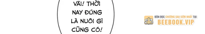Ta Có Thể Thấy Tỉ Lệ Thành Công Chapter 230 - Trang 3