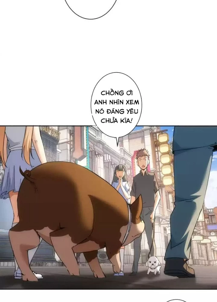 Ta Có Thể Thấy Tỉ Lệ Thành Công Chapter 230 - Trang 3