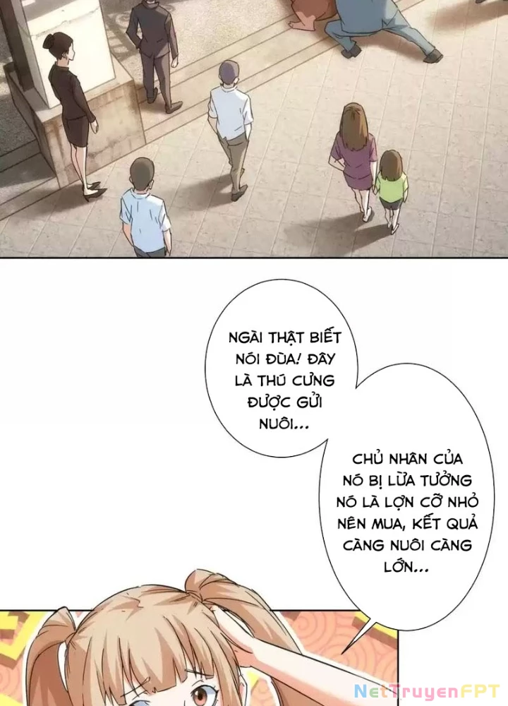 Ta Có Thể Thấy Tỉ Lệ Thành Công Chapter 230 - Trang 3