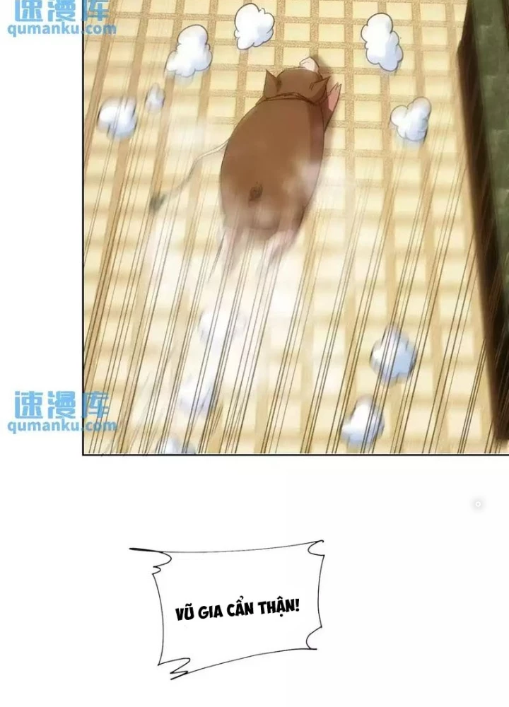Ta Có Thể Thấy Tỉ Lệ Thành Công Chapter 230 - Trang 3