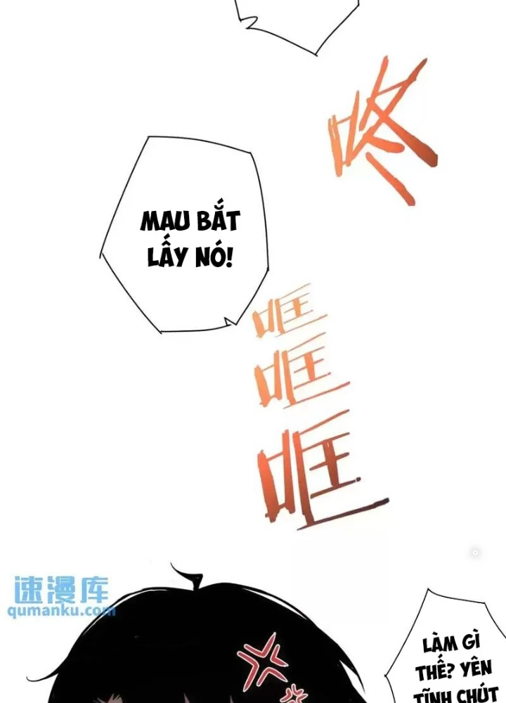 Ta Có Thể Thấy Tỉ Lệ Thành Công Chapter 231 - Trang 3