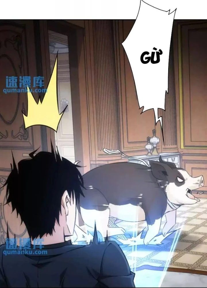 Ta Có Thể Thấy Tỉ Lệ Thành Công Chapter 231 - Trang 3