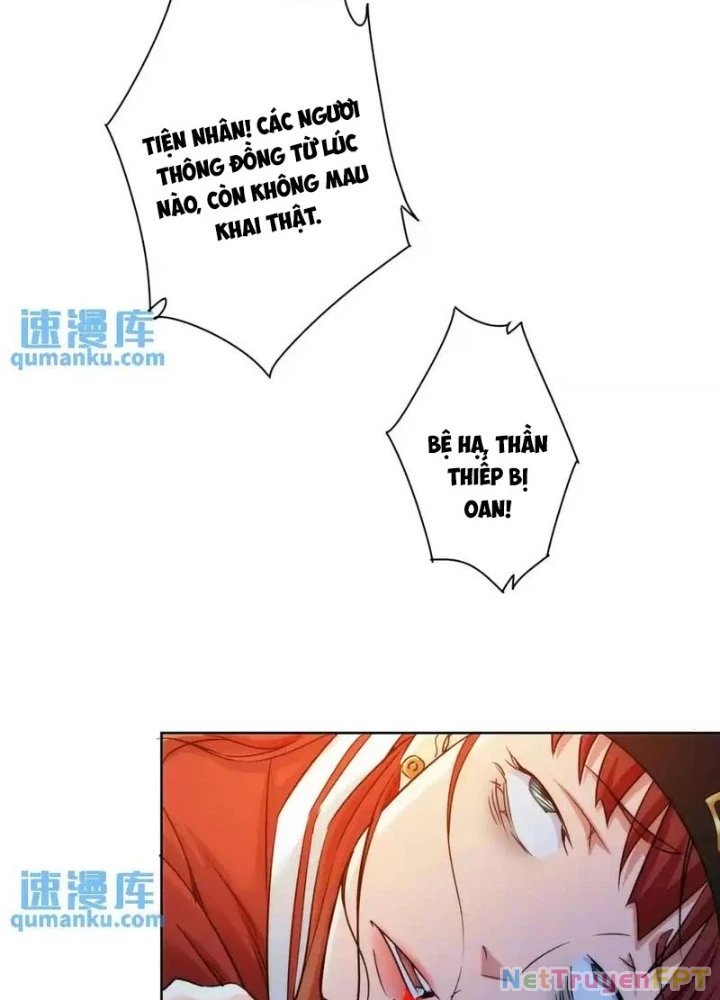 Ta Có Thể Thấy Tỉ Lệ Thành Công Chapter 231 - Trang 3