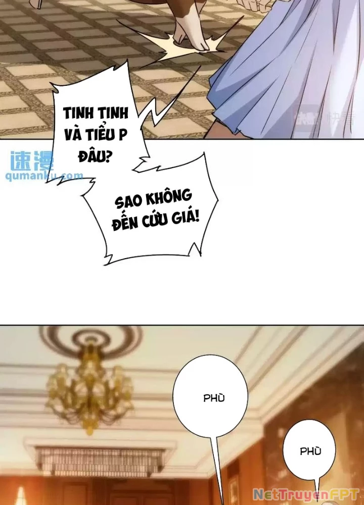 Ta Có Thể Thấy Tỉ Lệ Thành Công Chapter 231 - Trang 3