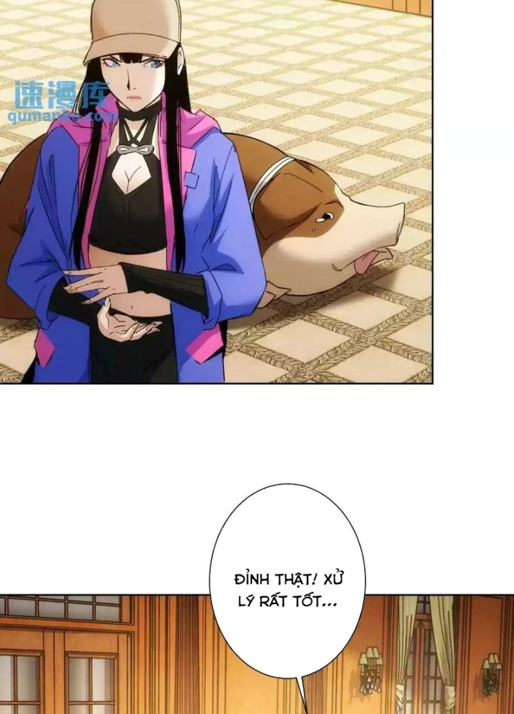 Ta Có Thể Thấy Tỉ Lệ Thành Công Chapter 232 - Trang 3