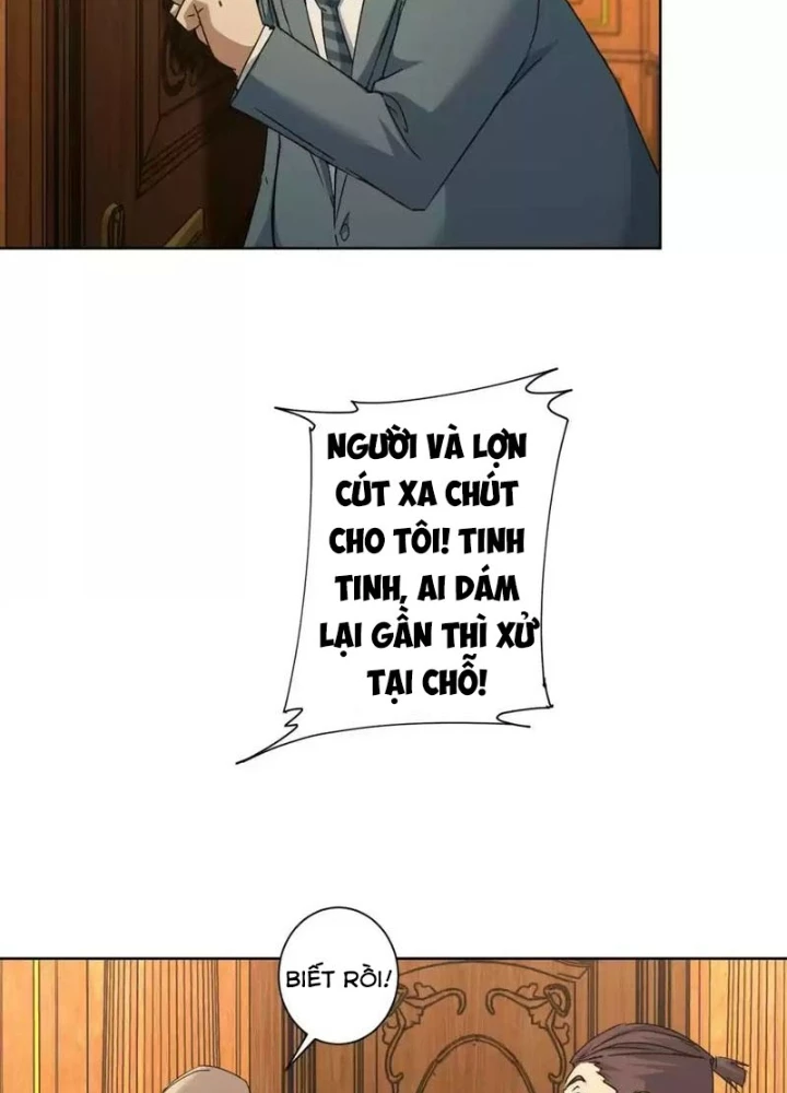 Ta Có Thể Thấy Tỉ Lệ Thành Công Chapter 232 - Trang 3