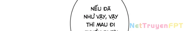 Ta Có Thể Thấy Tỉ Lệ Thành Công Chapter 244 - Trang 3