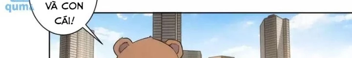 Ta Có Thể Thấy Tỉ Lệ Thành Công Chapter 247 - Trang 3