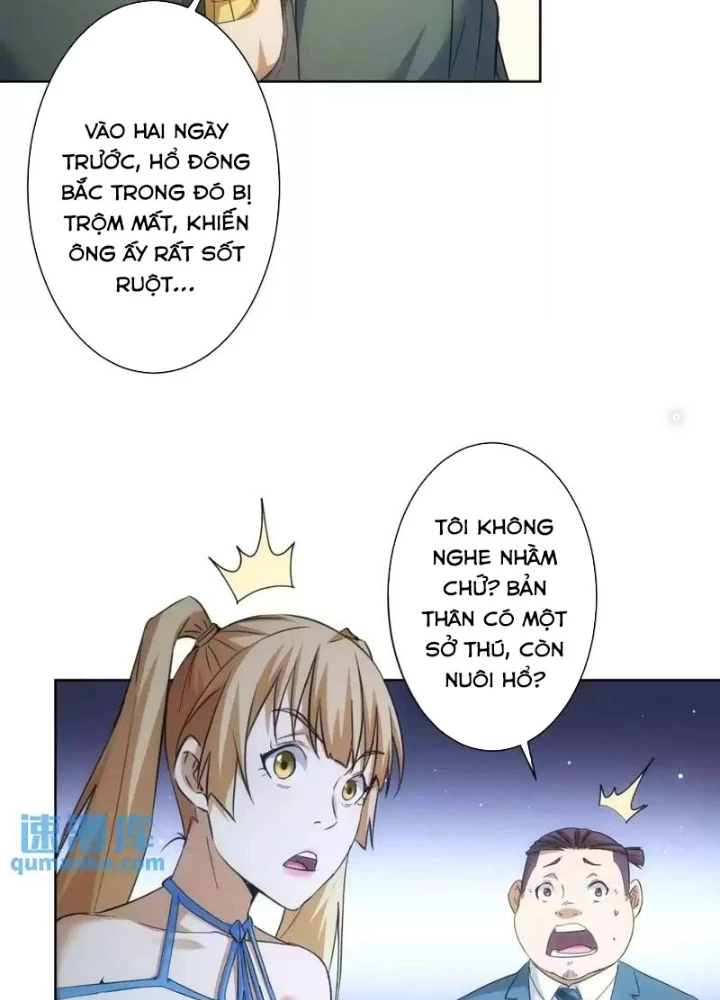 Ta Có Thể Thấy Tỉ Lệ Thành Công Chapter 250 - Trang 3