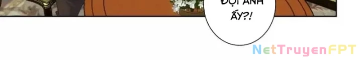 Ta Có Thể Thấy Tỉ Lệ Thành Công Chapter 250 - Trang 3