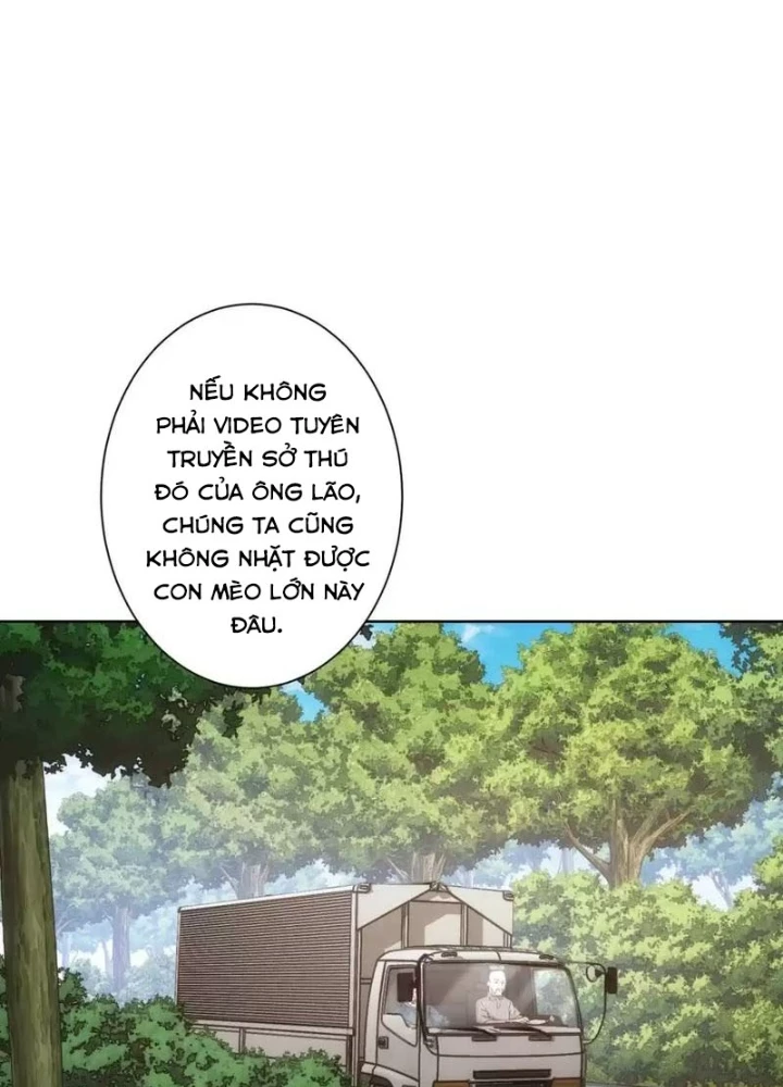 Ta Có Thể Thấy Tỉ Lệ Thành Công Chapter 250 - Trang 3