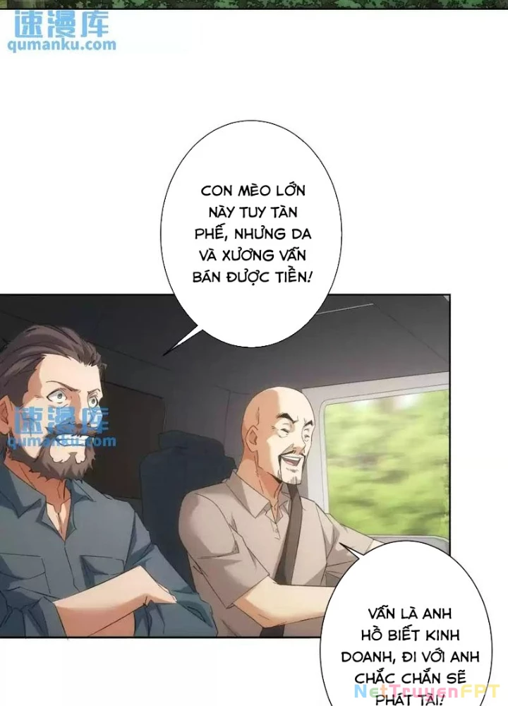 Ta Có Thể Thấy Tỉ Lệ Thành Công Chapter 250 - Trang 3
